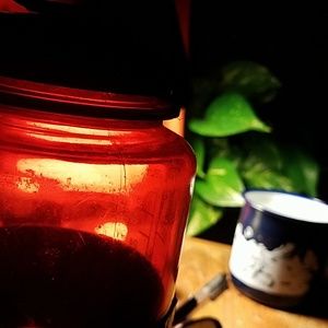 Meet your Posher, Brady